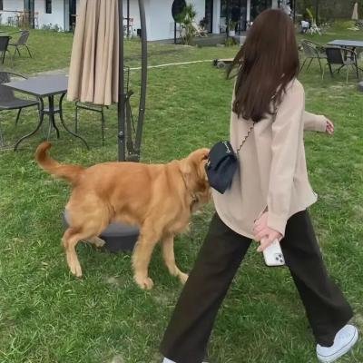 同床异梦2：你是我的命运